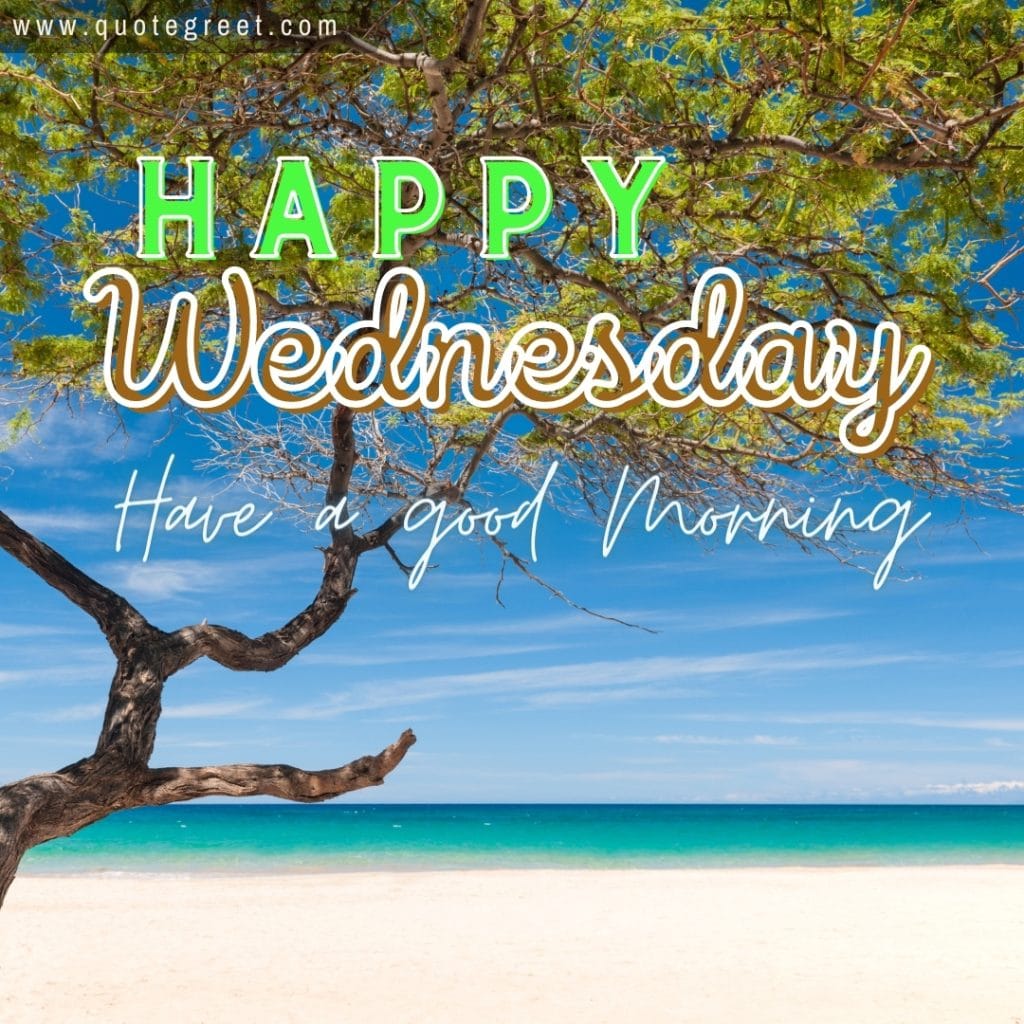 happy-wednesday-good-morning-beach-tree-sunny-blue-beautiful-ocean-sea-view-nature-natural-pic-gud-image-picture-photo