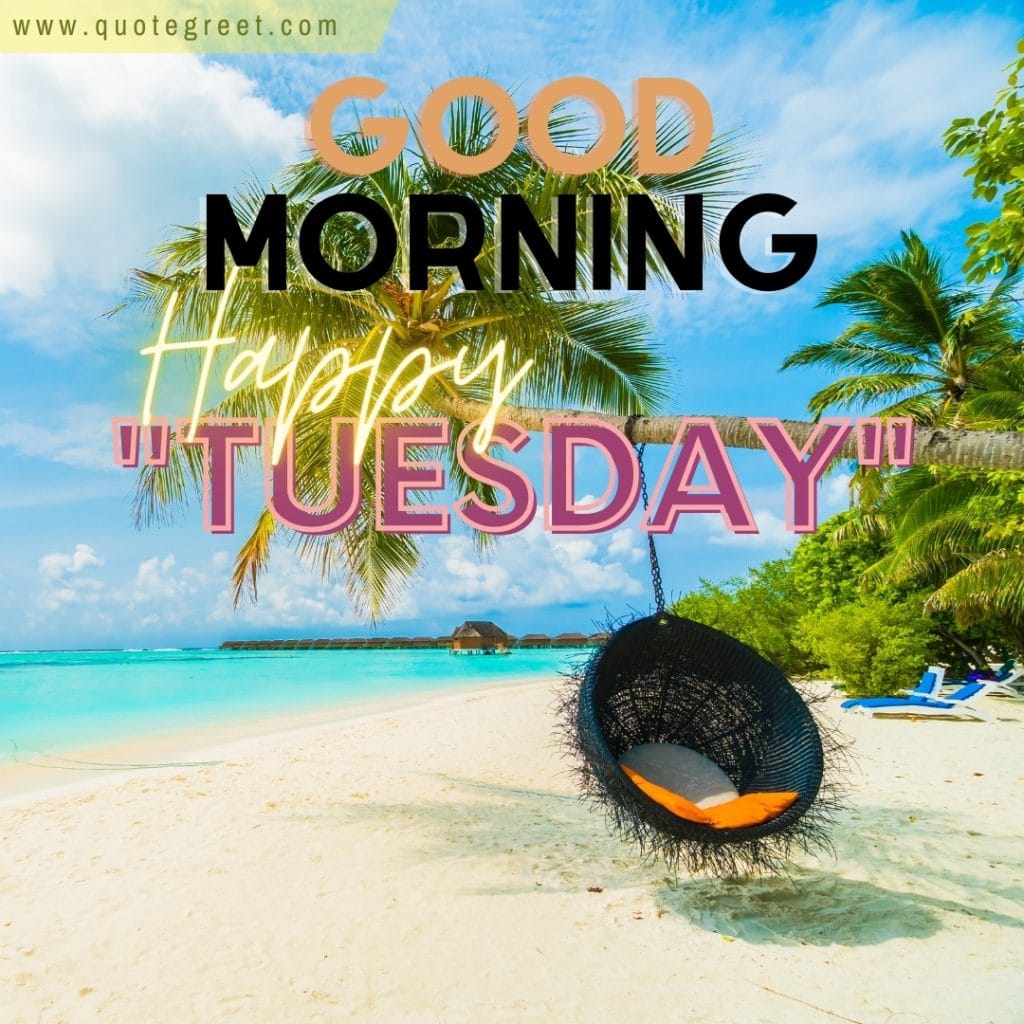 happy-tuesday-good-morning-beach-resort-tree-swing-maldives-sunny-amazing-nature-natural-pic-gud-image-picture-photo