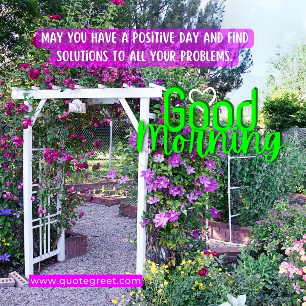 good-morning-purple-flowers-garden-door-wishes-message-greetings-flower-green-nature-natural-pic-gud-image-photo-picture