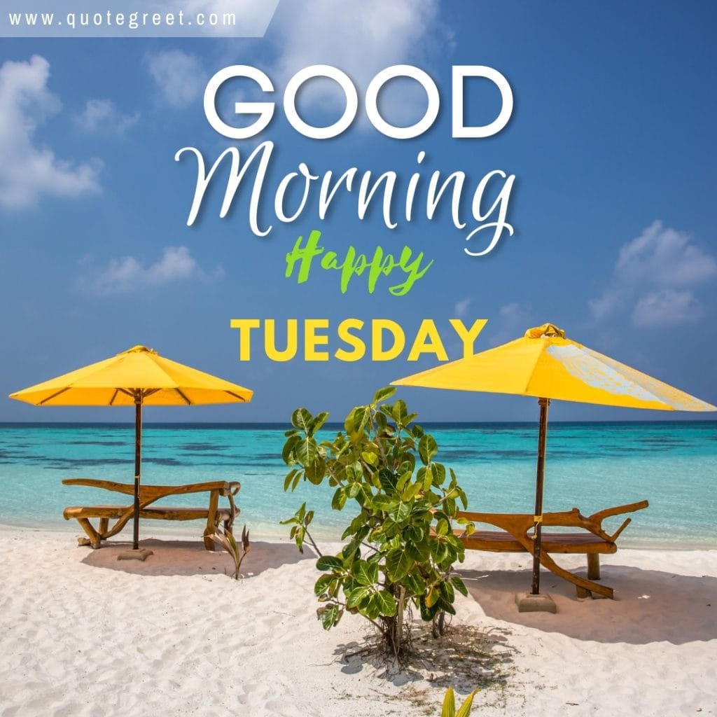 good-morning-happy-tuesday-beach-umbrella-sun-bed-sunny-summer-tropical-nature-natural-pic-gud-image-picture-photo