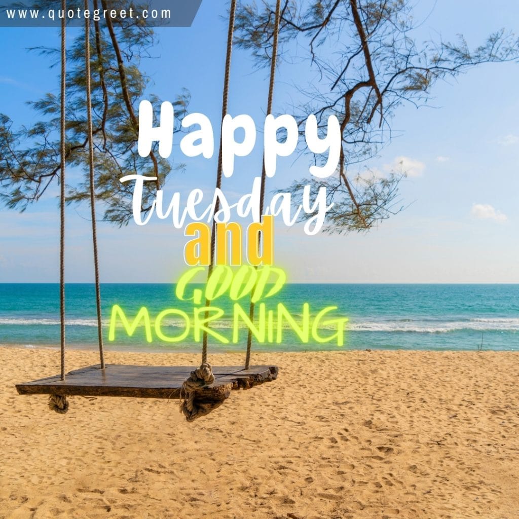 happy-tuesday-good-morning-beach-tree-swing-beautiful-nature-natural-pic-gud-image-picture-photo