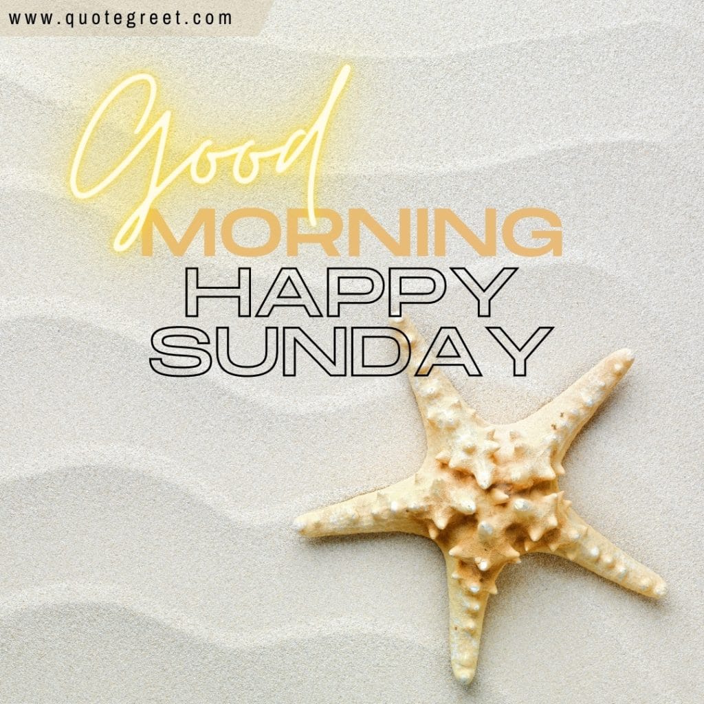 good-morning-happy-sunday-beach-white-sand-starfish-beautiful-nature-natural-pic-gud-image-picture-photo