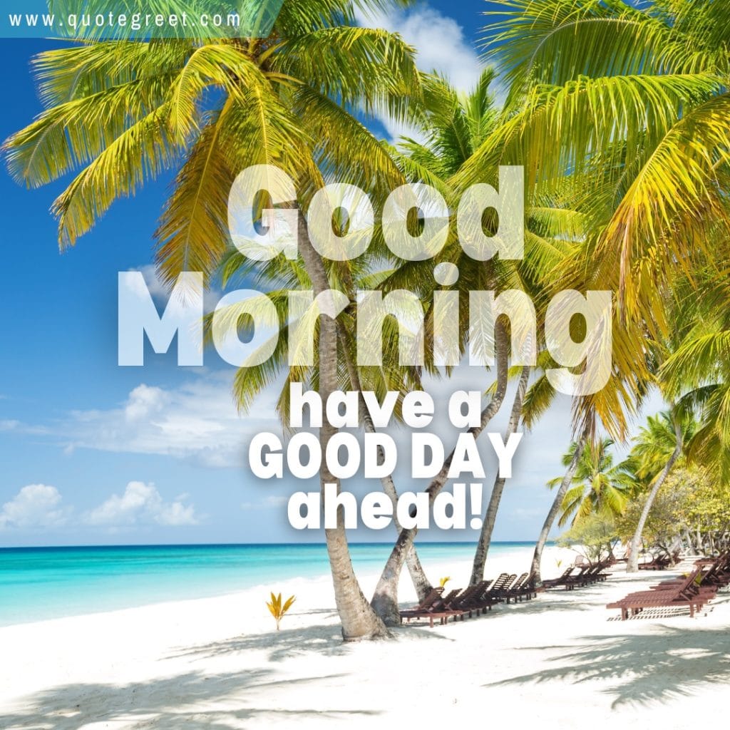 beautiful-good-morning-beach-sunny-maldives-palm-trees-blu-sky-white-sand-sun-bed-nature-natural-pic-gud-image-picture-photo