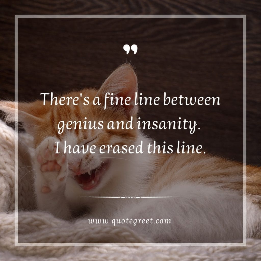 funny-quote-of-the-day-14-february-tuesday-14th-today-funny-cat