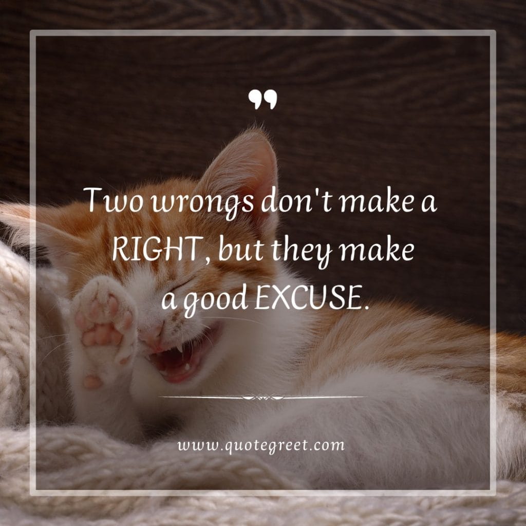 funny-quote-of-the-day-15-february-wednesday-15th-today-funny-cat