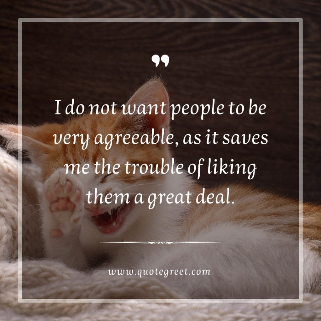 funny-quote-of-the-day-17-february-friday-17th-today-funny-cat