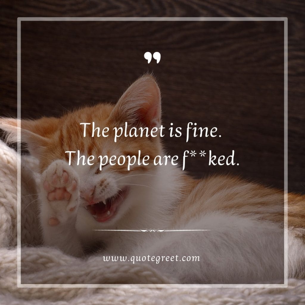 funny-quote-of-the-day-19-february-sunday-19th-today-funny-cat