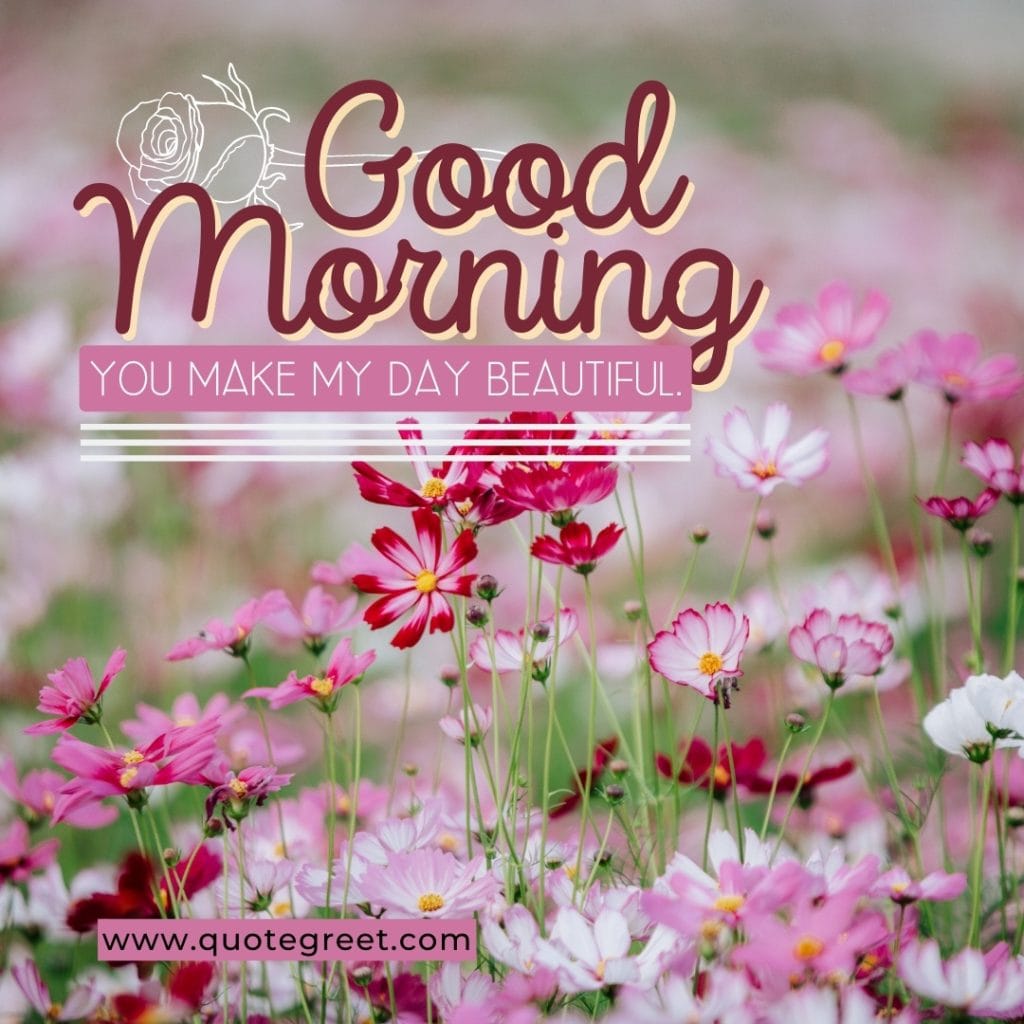 pink-white-flowers-garden-good-morning-beautiful-pretty-you-make-my-day-beautiful-nature-natural-pic-gud-image-photo-picture