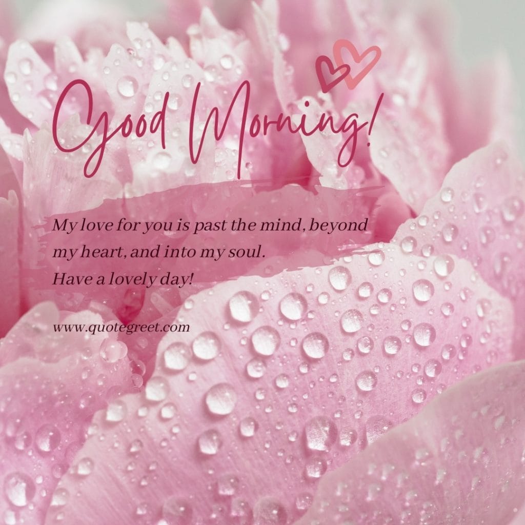 good-morning-love-quotes-pink-flower-for-her-images-raindrops-water-drops-romantic-hearts-beautiful-lovely-hd-cute-pic-picture-image-photo