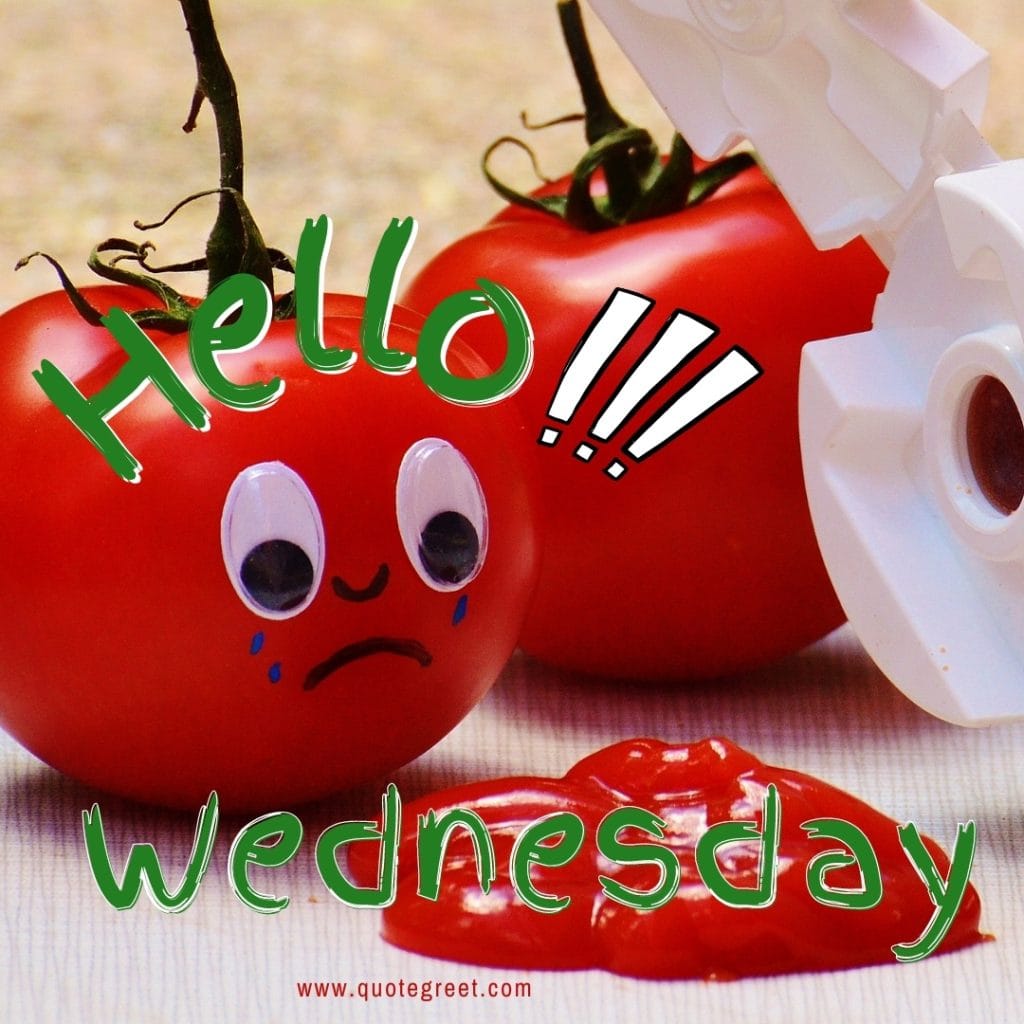 funny-hello-wednesday-images-red-tomatos-pic-picture-image-photo