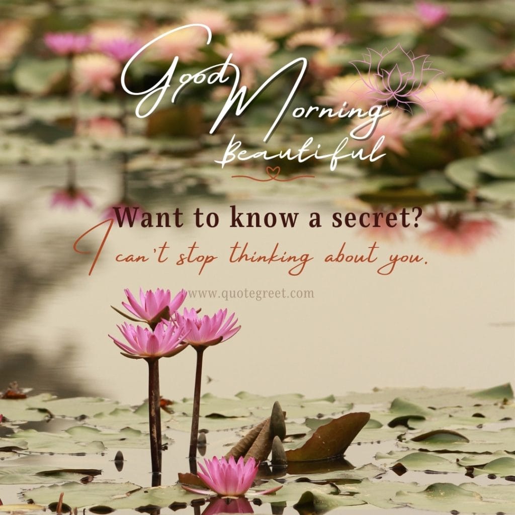 good-moring-pink-lotus-flower-images-romantic-love-quotes-messages-water-beautiful-bloom-sweet-nature-cute-new-special-hd-pic-gud-goodmorning-image-pictures-photo