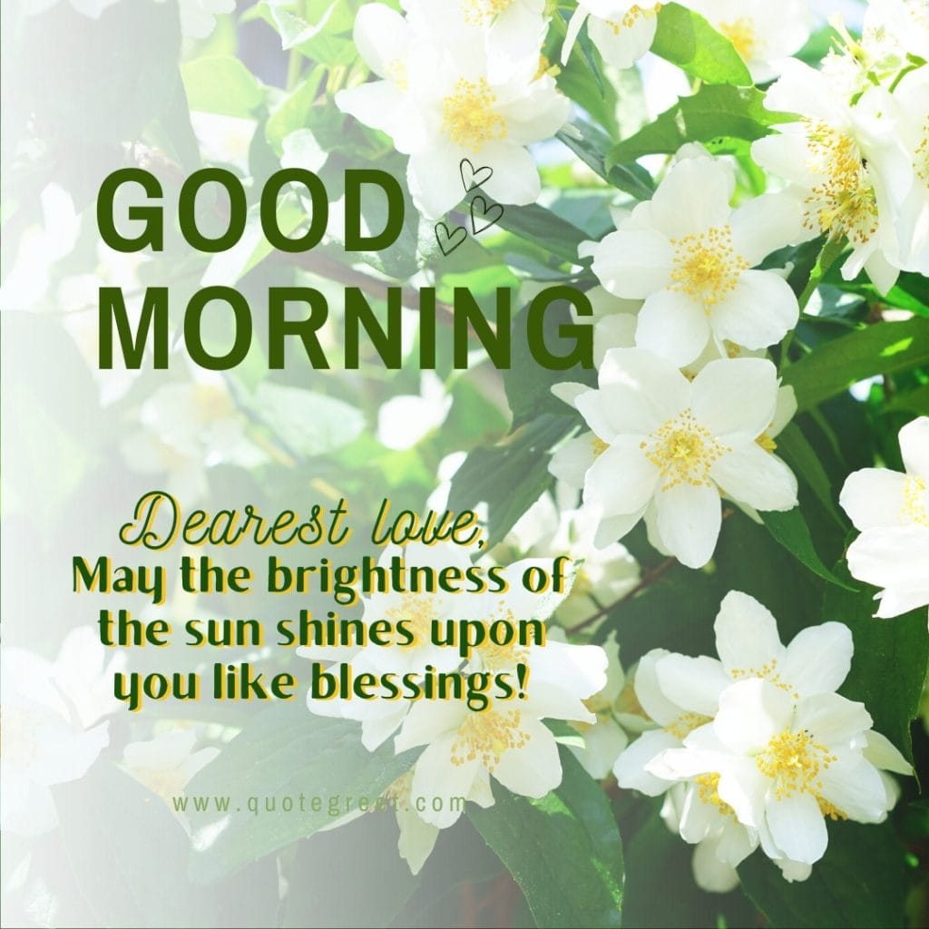 good-morning-jasmine-flower-images-mogra-flowers-wishes-messages-greetings-quotes-beautiful-cute-white-hd-pic-gud-image-picture-photo