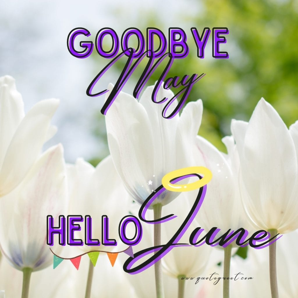 goodbye-may-hello-june-images-bye-white-flowers-beautiful-cute-pic-image-picture-photo-hd