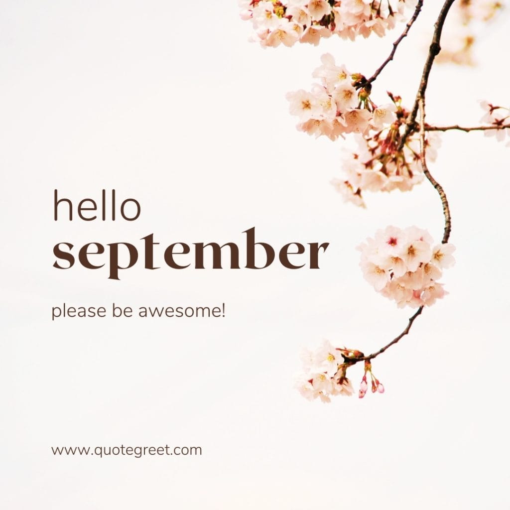 hello-september-images-floowers-cherry-blossom-pale-white-aesthetic-beautiful-cute-wishes-greetings-modern-pretty-pic-picture-image-photo