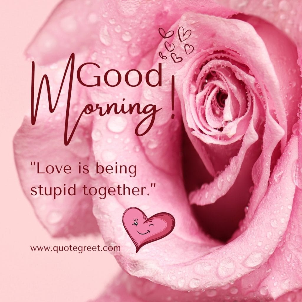 good-morning-funny-love-quote-for-her-pink-rose-flower-romantic-raindrops-water-drops-dew-wishes-beautiful-lovely-hd-cute-pic-picture-image-photo