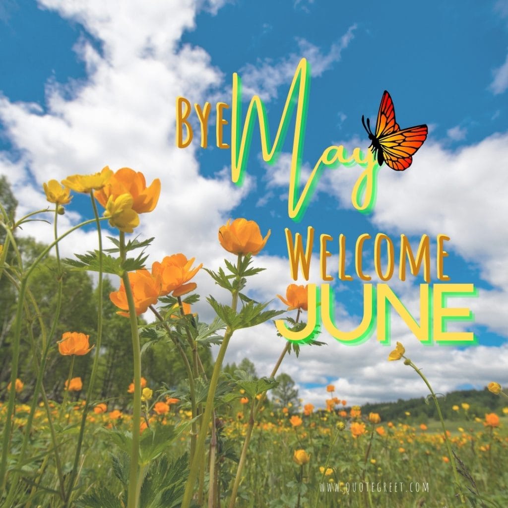 bye-may-hello-june-images-goodbye-butterfly-flower-garden-yellow-pic-image-picture-photo-hd