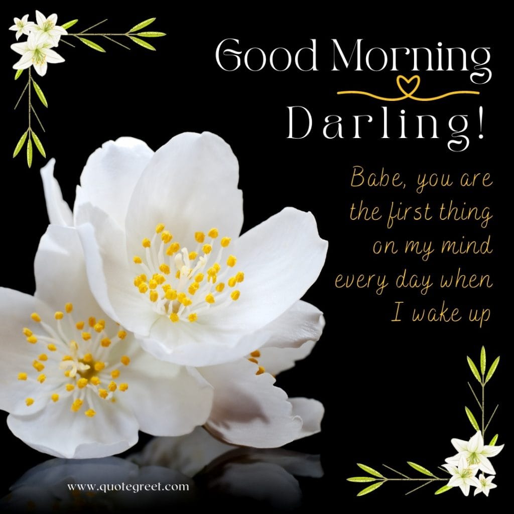 good-morning-jasmine-flower-images-mogra-flowers-wishes-messages-greetings-quotes-beautiful-cute-white-hd-pic-gud-image-picture-photo