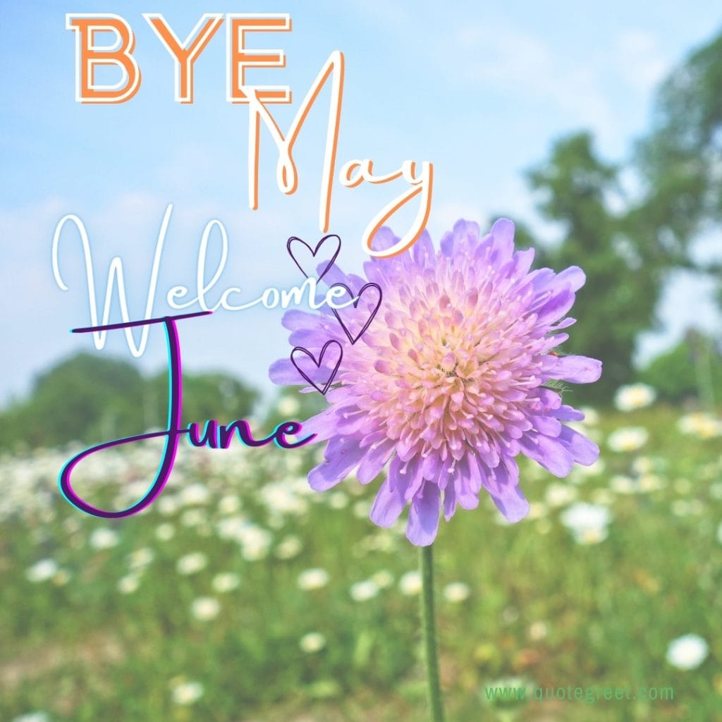 bye-may-hello-june-images-goodbye-purple-flower-beautiful-cute-pic-image-picture-photo-hd