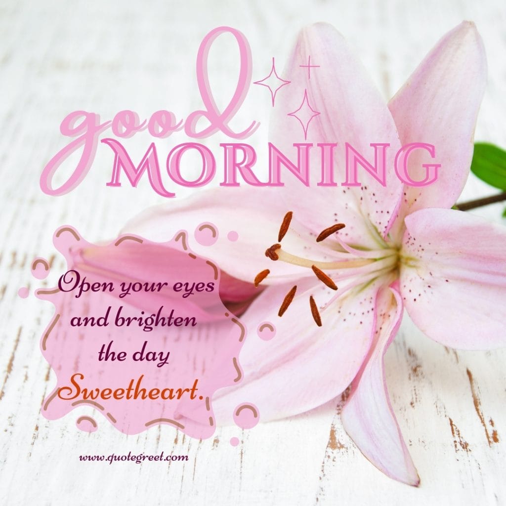 good-morning-pink-stargazer-lily-images-quotes-love-romantic-messages-beautiful-cute-pretty-flower-flowers-lilies-lillies-lilly-gud-hd-pictures-photo-image