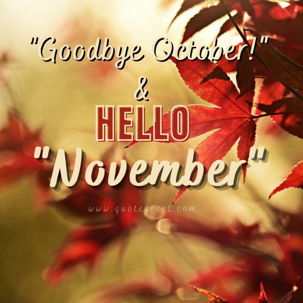 goodbye-october-hello-november-images-good-bye-fall-autum-leaves-cute-beautiful-pretty