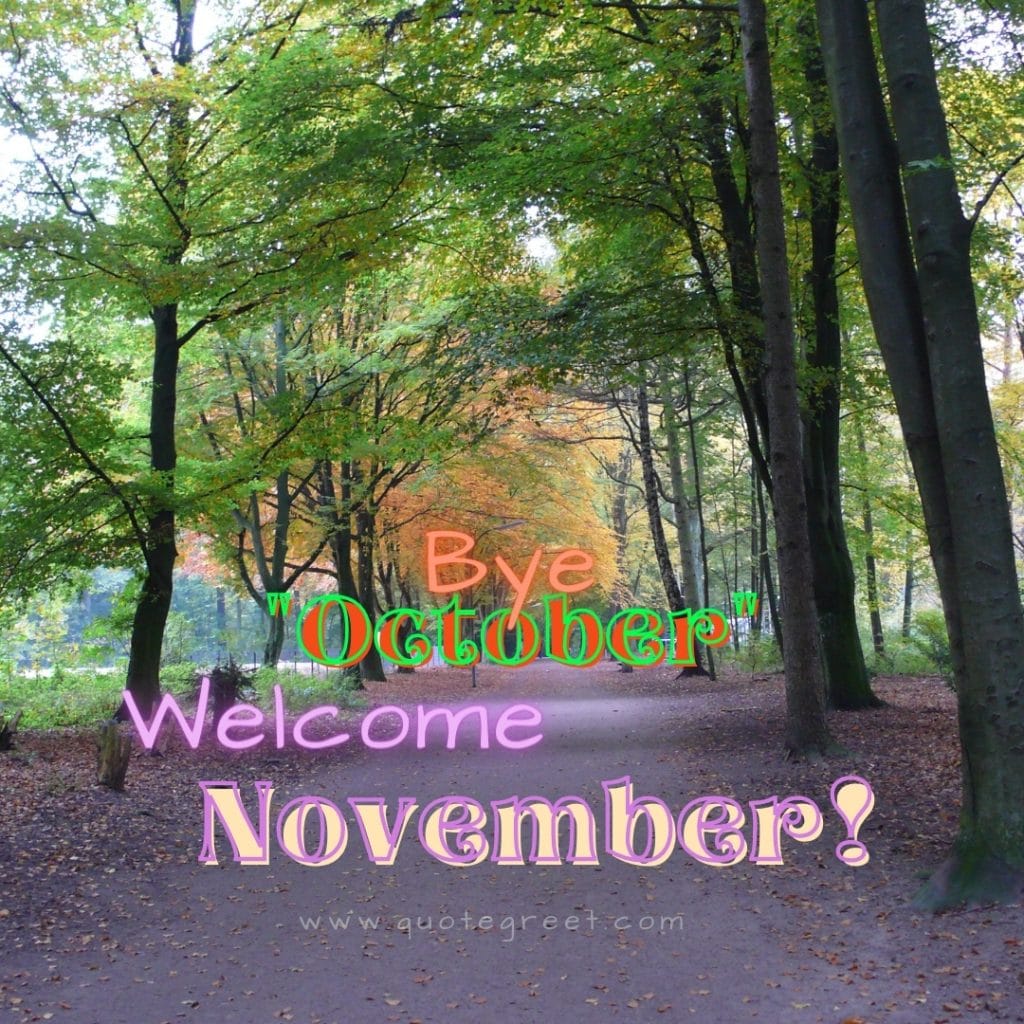 bye-october-welcome-november-images-goodbye-good-nature-trees-scenery-green-cute-beautiful-pretty