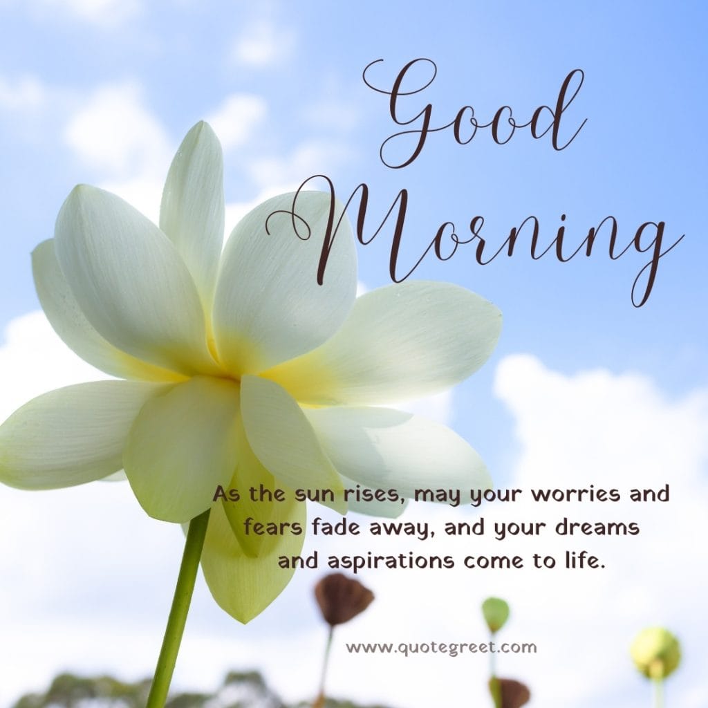 good-moring-white-lotus-flower-images-sky-natural-wishes-messages-quotes-beautiful-bloom-sweet-nature-cute-new-special-hd-pic-gud-goodmorning-image-pictures-photo