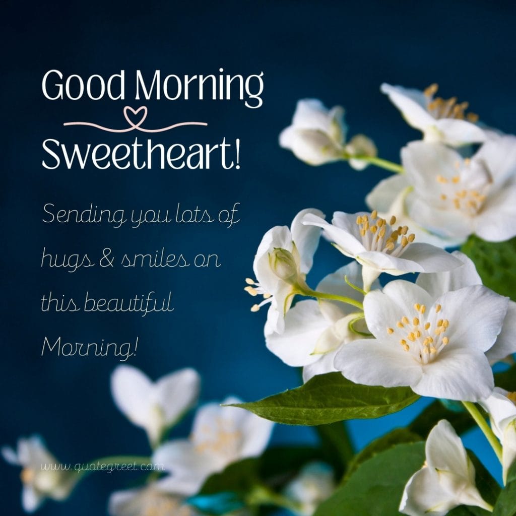 good-morning-jasmine-flower-images-mogra-flowers-wishes-messages-greetings-quotes-beautiful-cute-white-hd-pic-gud-image-picture-photo