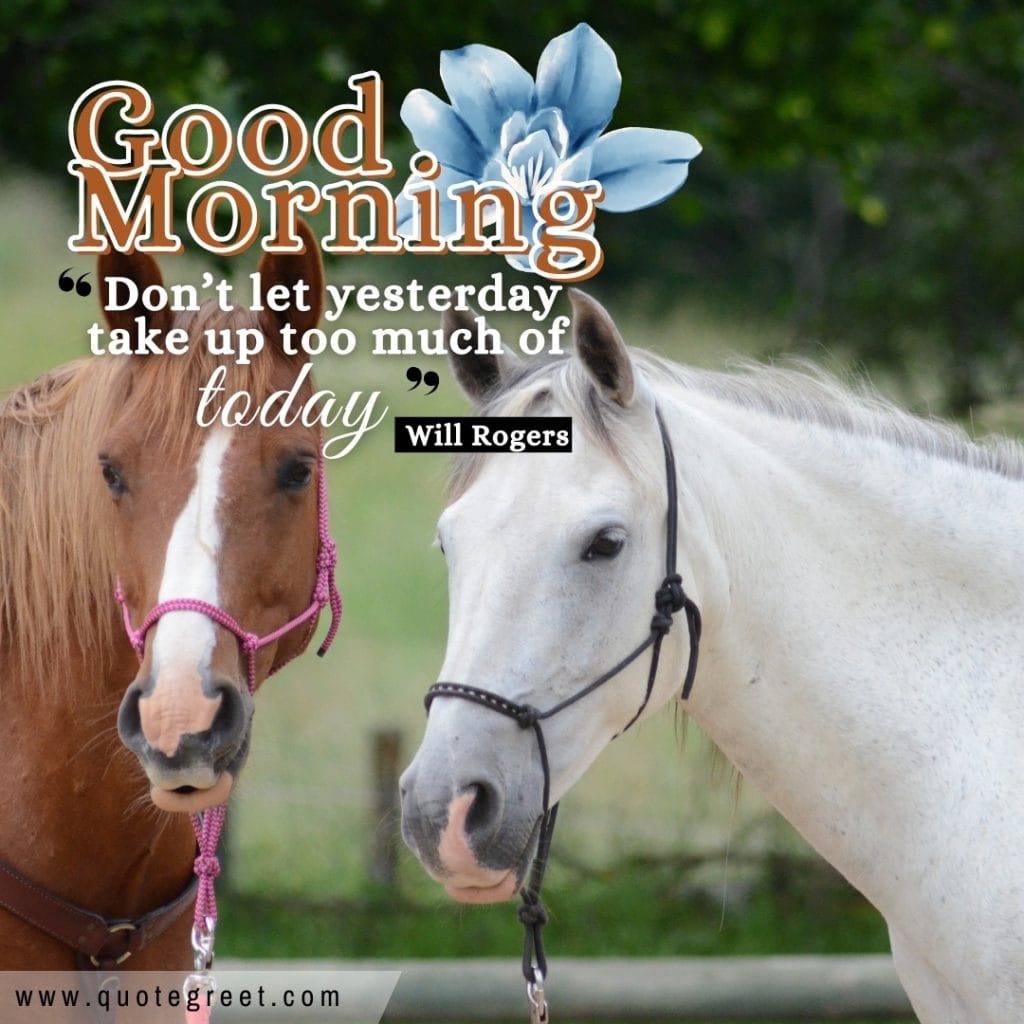 good-morning-quotes-positive-inspiring-inspirational-motivational-short-horses-nature-image-pic-gud-picture-photo