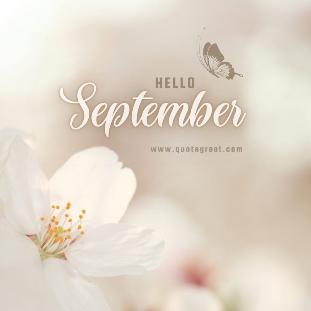 hello-september-images-white-flower-butterfly-gray-grey-aesthetic-beautiful-cute-modern-pretty-wishes-greetings-pic-picture-image-photo