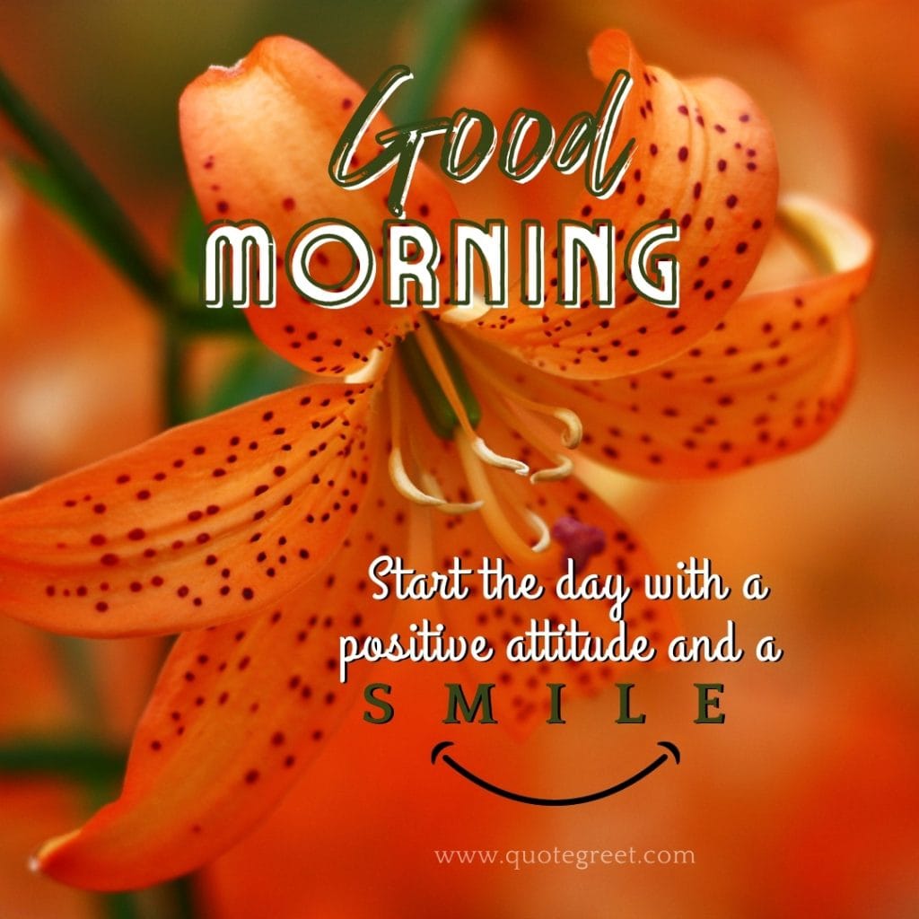 orange-good-morning-stargazer-lily-images-quotes-positive-inspirational-motivational-beautiful-cute-pretty-flower-flowers--lilies-lillies-lilly-gud-hd-pictures-photo-image