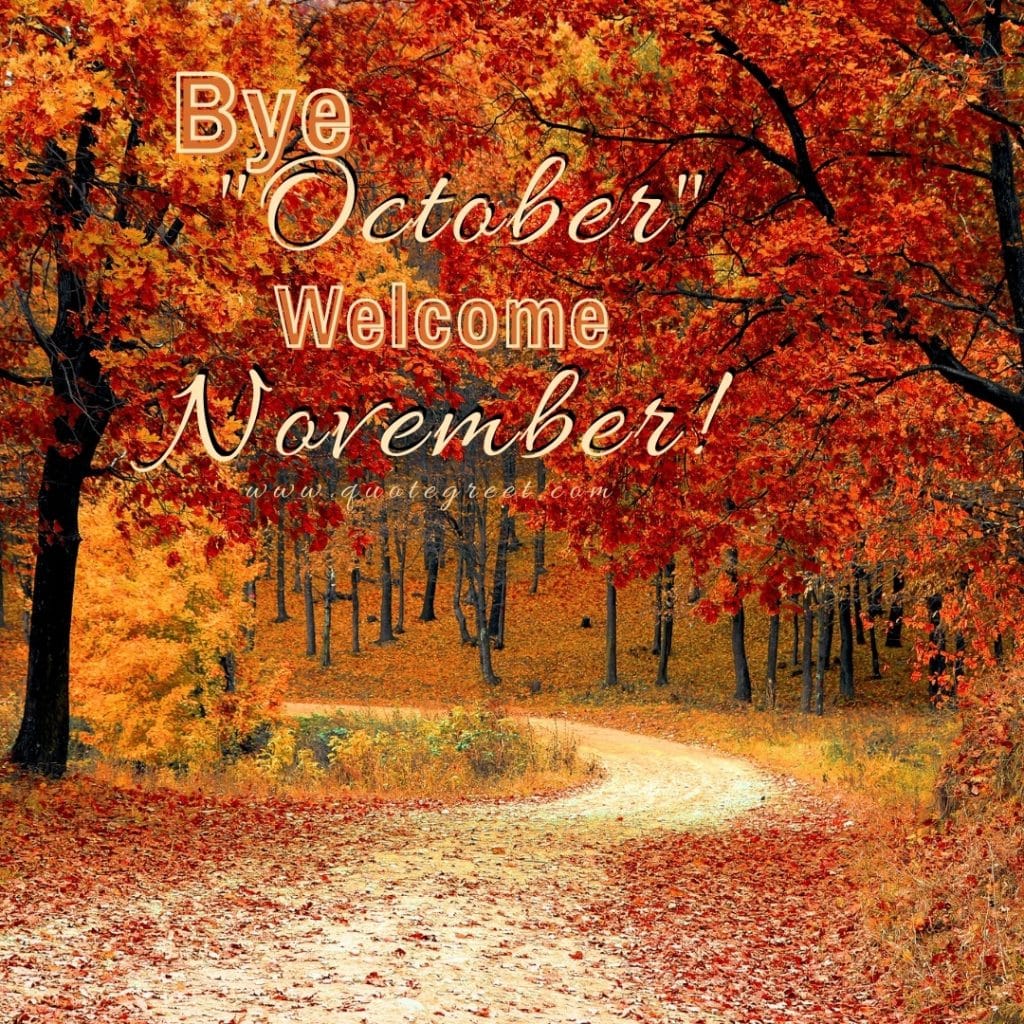 bye-october-welcome-november-images-goodbye-good-nature-orange-trees-fall-autumn-cute-beautiful-pretty