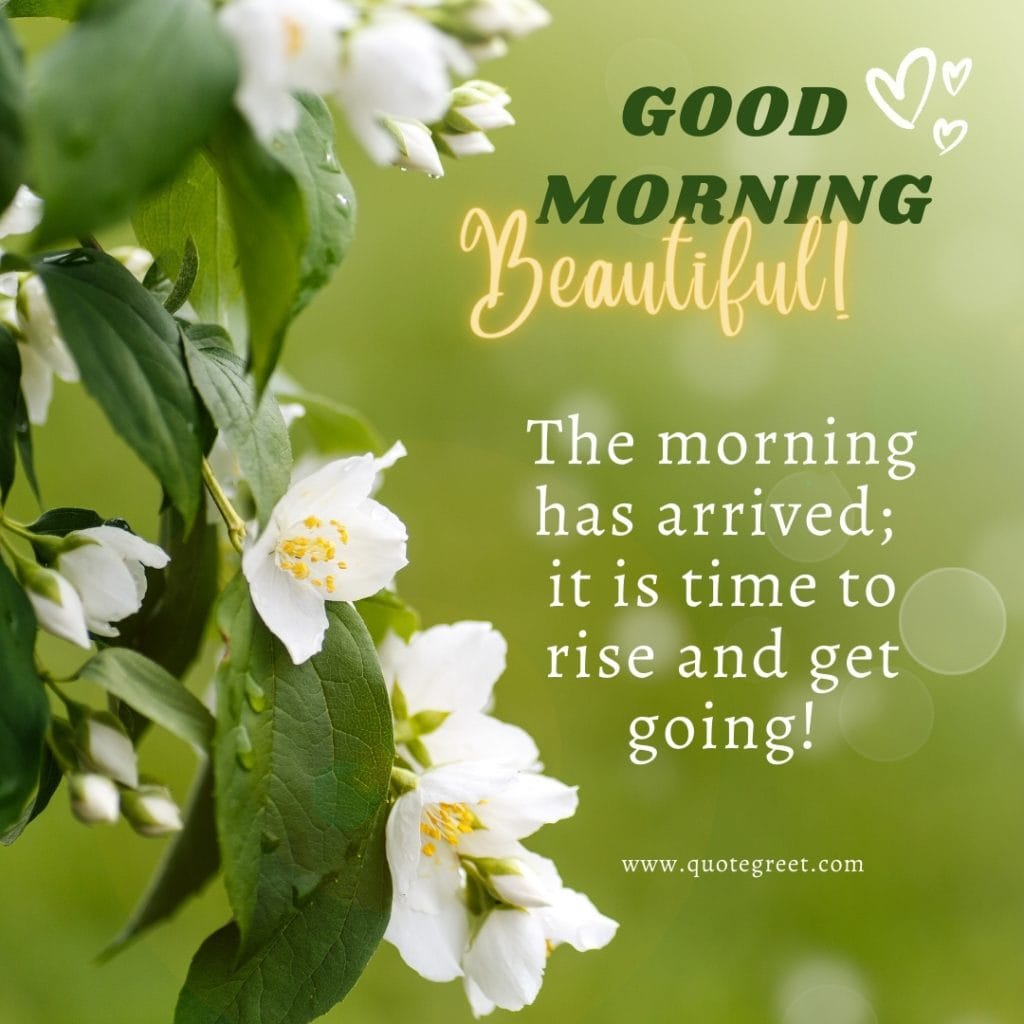 good-morning-quotes-jasmine-flower-images-mogra-flowers-wishes-messages-greetings-quotes-beautiful-cute-white-hd-pic-gud-image-picture-photo