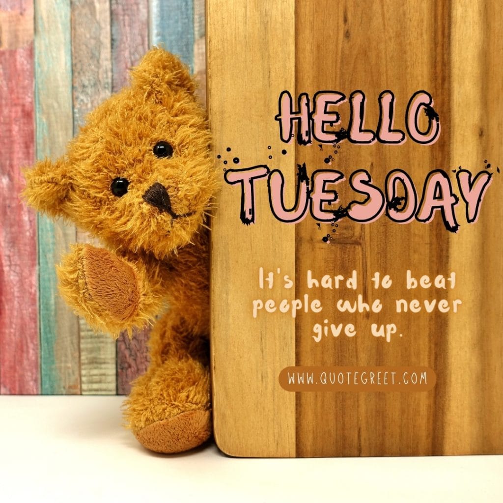 hello-tuesday-quotes-teddy-cute-quote-pic-picture-image-photo