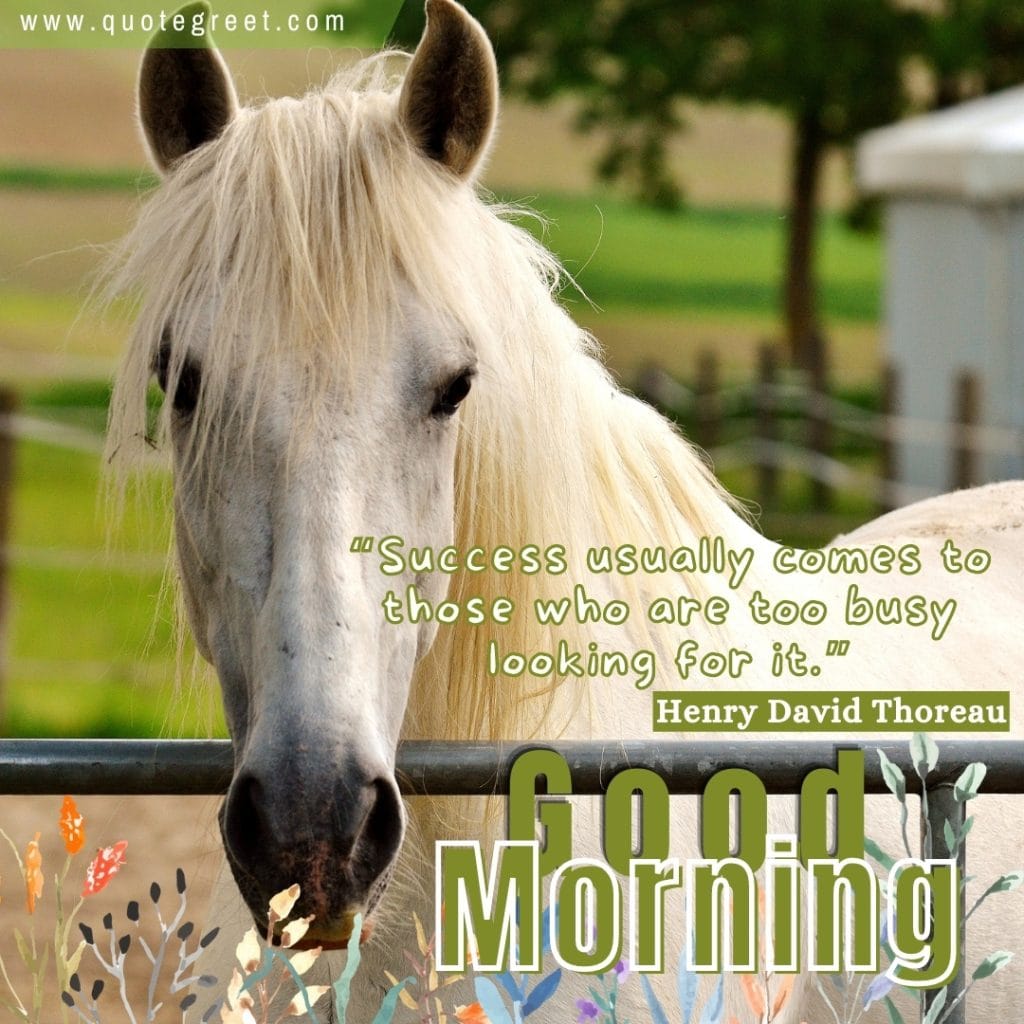 good-morning-quotes-positive-inspiring-inspirational-motivational-short-white-horse-nature-image-pic-gud-picture-photo