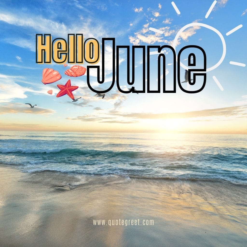 beach-hello-june-images-beautiful-seashells-pic-image-picture-photo-hd