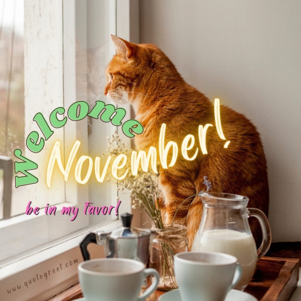 welcome-november-be-in-my-favor-images-cat-kitty-coffee-cute-beautiful-pretty