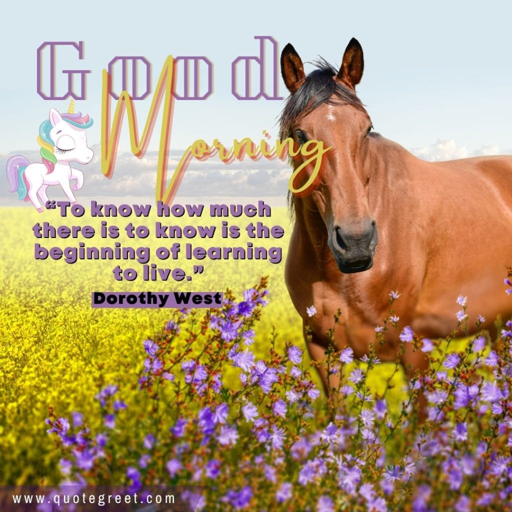 good-morning-quotes-positive-inspiring-inspirational-motivational-short-horse-brown-unicorn-nature-image-pic-gud-picture-photo