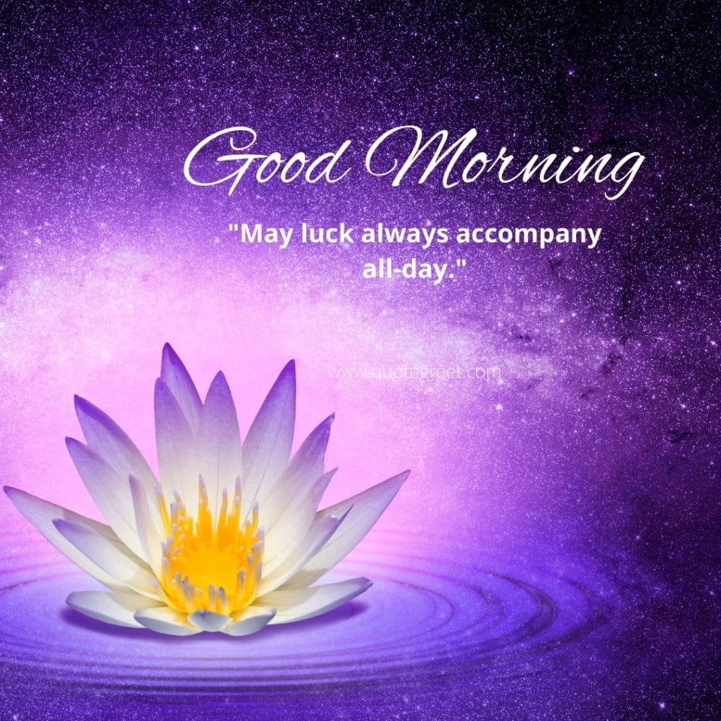 good-morning-purple-lotus-flower-images-violet-quotes-positive-wishes-messages-glitter-quote-beautiful-bloom-sweet-nature-cute-new-special-hd-pic-gud-goodmorning-image-pictures-photo