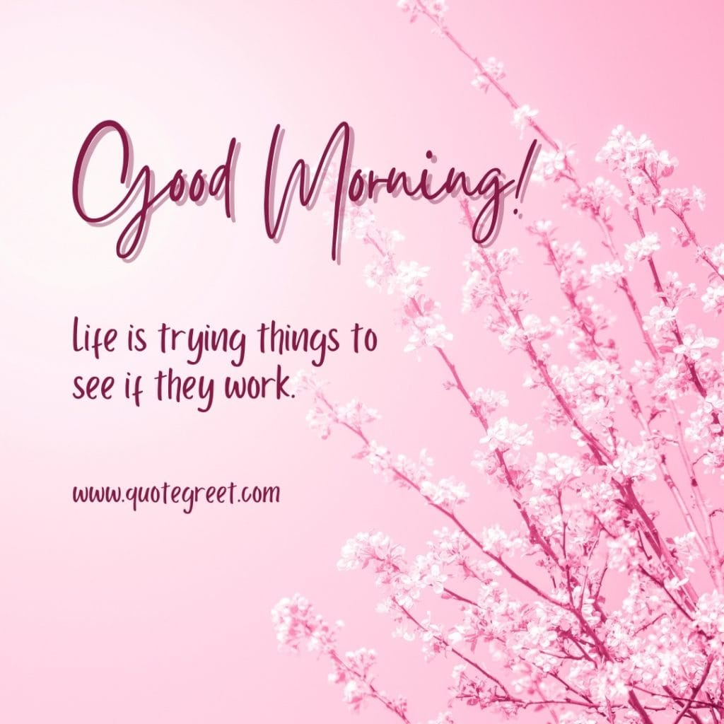 good-morning-quotes-pink-flower-images-life-quote-motivational-positive-aesthetic-modern-beautiful-lovely-cute-pic-picture-image-photo-hd