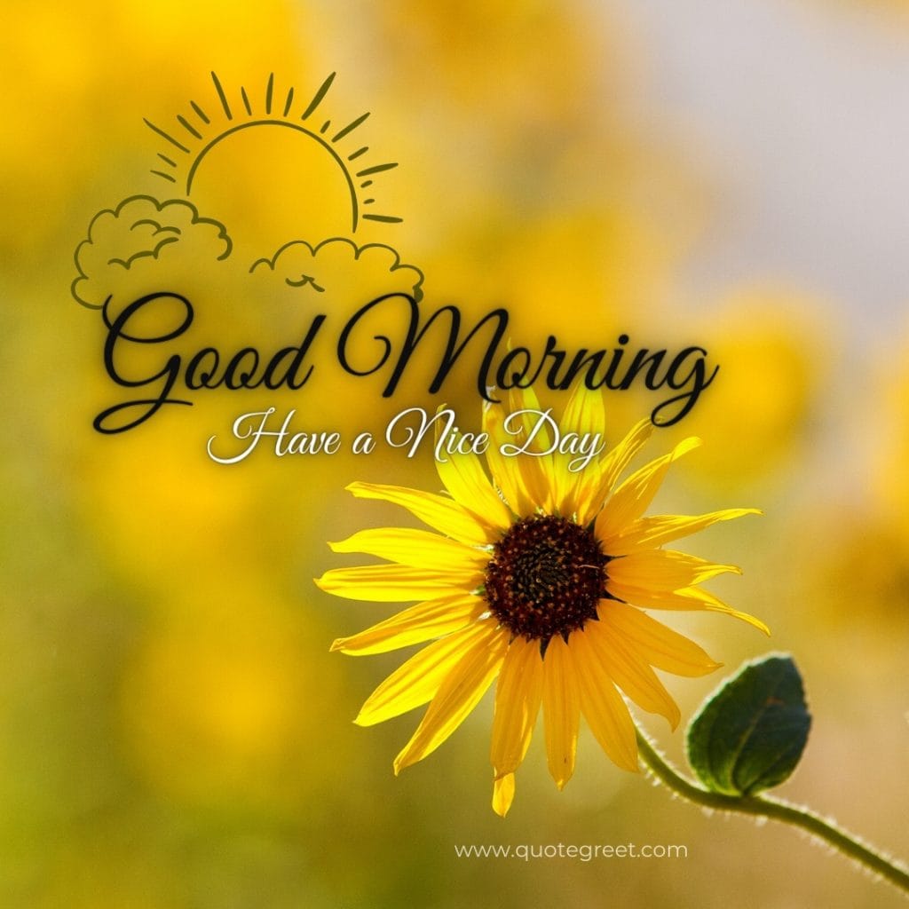 good-morning-yellow flowers-images-single-flower-one-yello-flower-wished-greetings-cute-beautiful-unique-gud-pic-image-picture-photo-have-a-nice-day