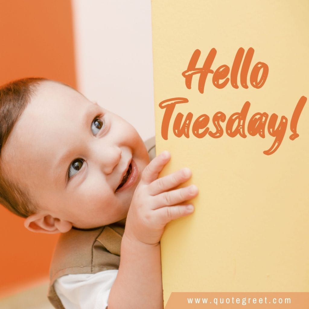 hello-tuesday-cute-baby-boy-orange-pic-picture-image-photo