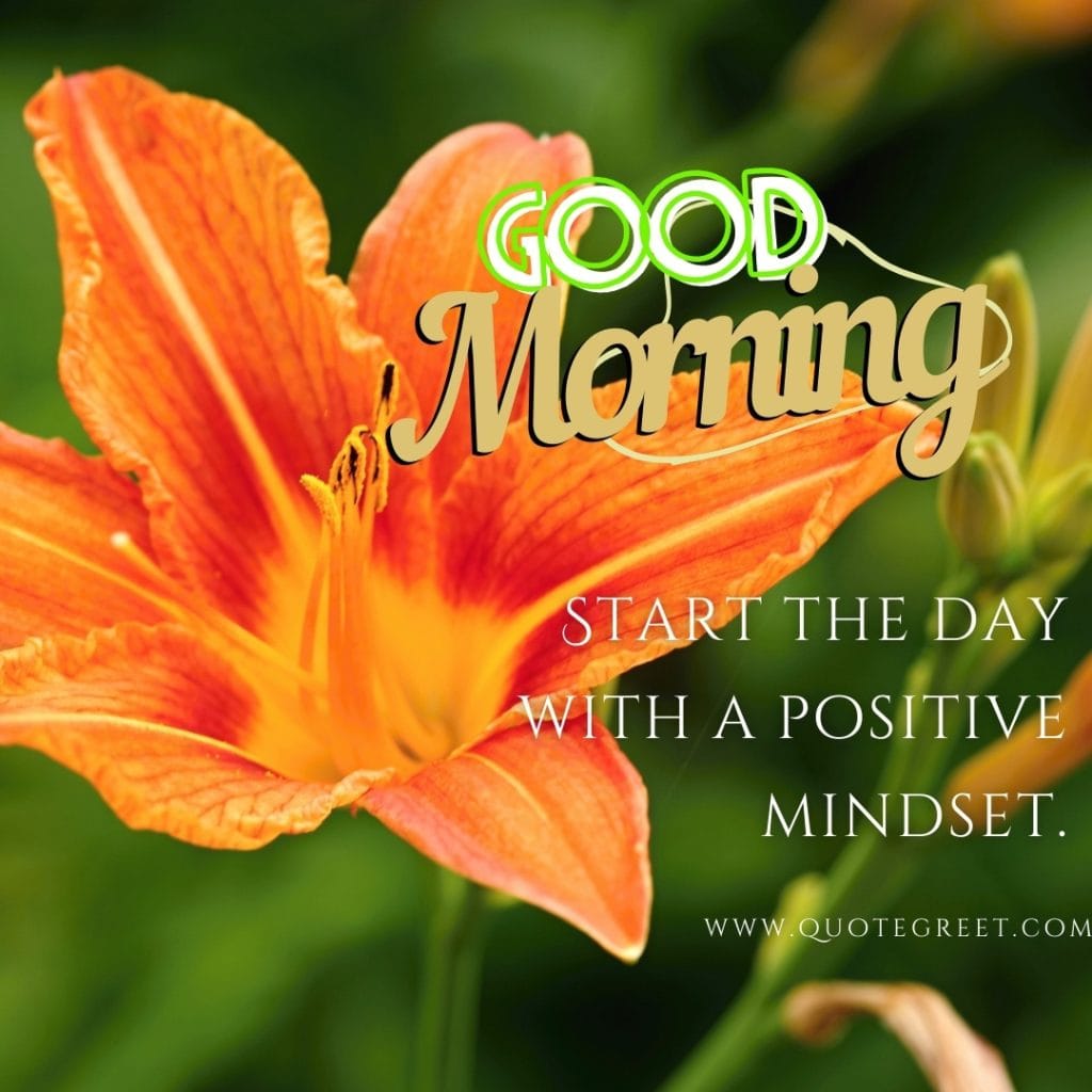 orange-good-morning-stargazer-lily-images-quotes-positive-inspirational-motivational-beautiful-cute-pretty-flower-flowers-lilies-lillies-lilly-gud-hd-pictures-photo-image