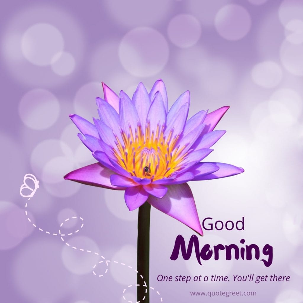 good-morning-purple-lotus-flower-images-violet-positive-quote-aesthetic-beautiful-bloom-sweet-nature-cute-new-special-hd-pic-gud-goodmorning-image-pictures-photo