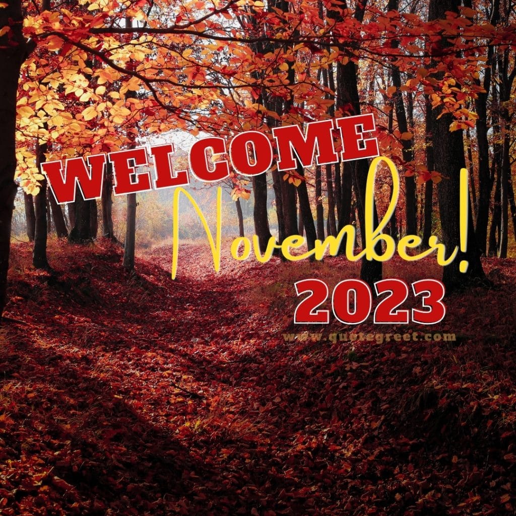 welcome-november-2023-images-nature-tree-fall-autum-cute-beautiful-pretty