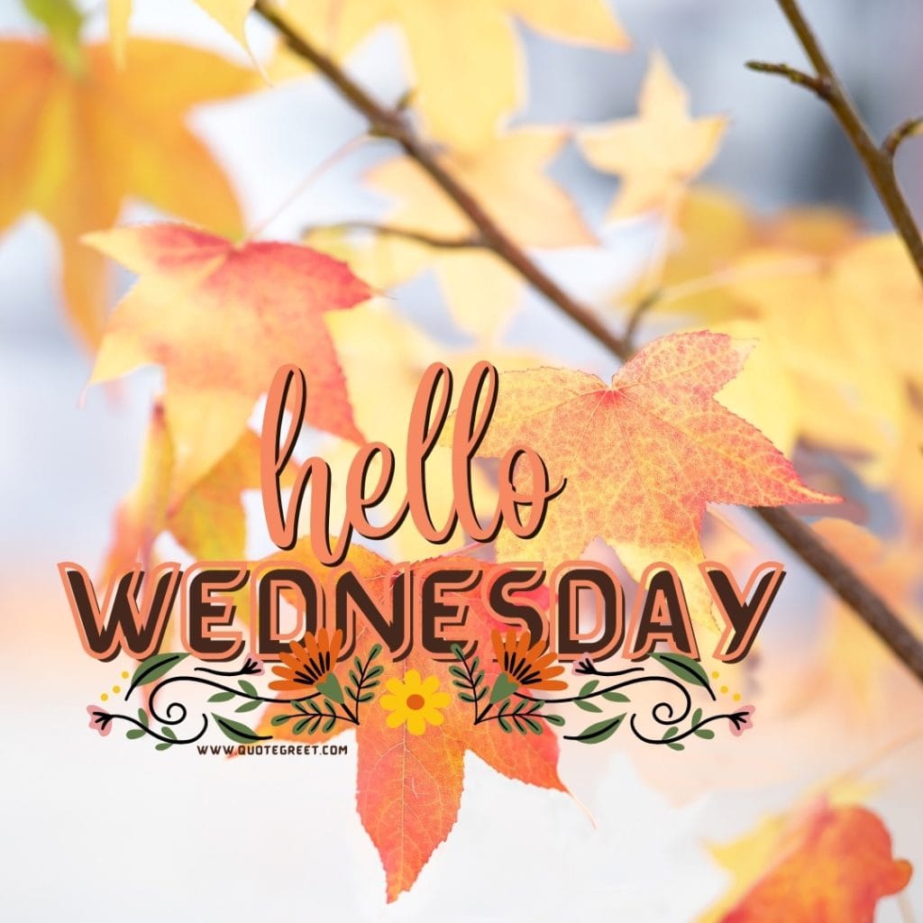 fall-hello-wednesday-images-leaves-autum-yellow-cute-beautiful-pic-picture-image-photo