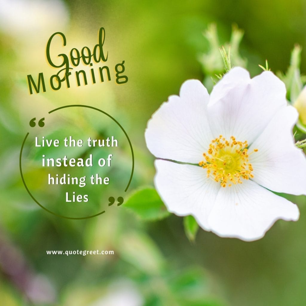 good-morning-quotes-jasmine-flower-images-positive-inspirational-motivational-mogra-flowers-wishes-messages-greetings-quotes-beautiful-cute-white-hd-pic-gud-image-picture-photo