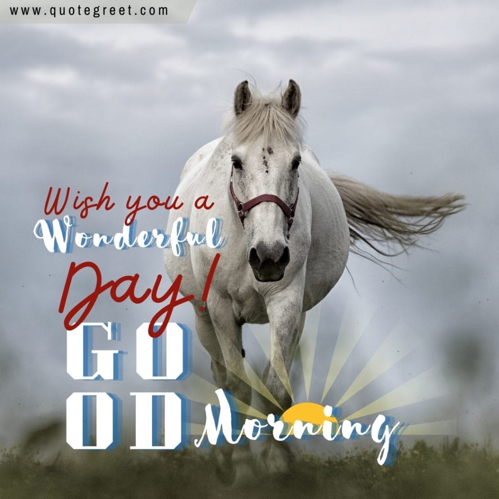 good-morning-white-horse-messages-wishes-greeting-nature-image-pic-gud-picture-photo