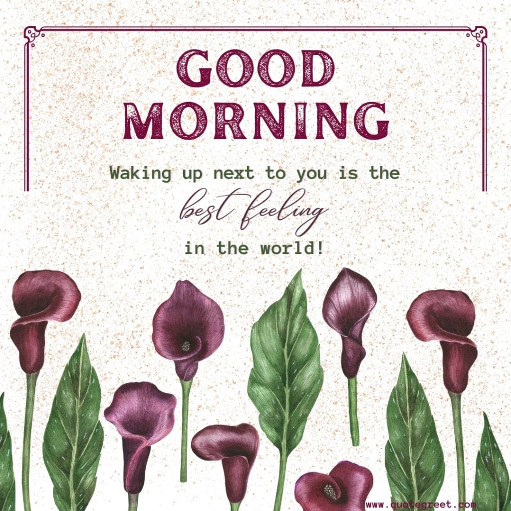 good-morning-purple-calla-lilylovely-love-messages-quotes-wishes-heartfelt-hearttouching-her-him-romantic-images-flower-flowers-lilies-lillies-lilly-gud-hd-pictures-photo-image