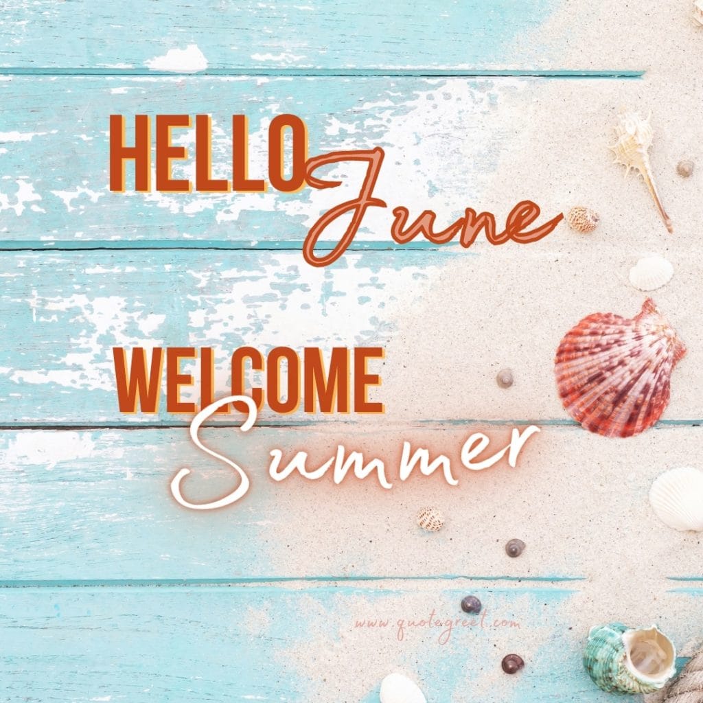 hello-june-welcome-summer-images-vibes-vibe-seashells-aesthetic-pic-image-picture-photo-hd