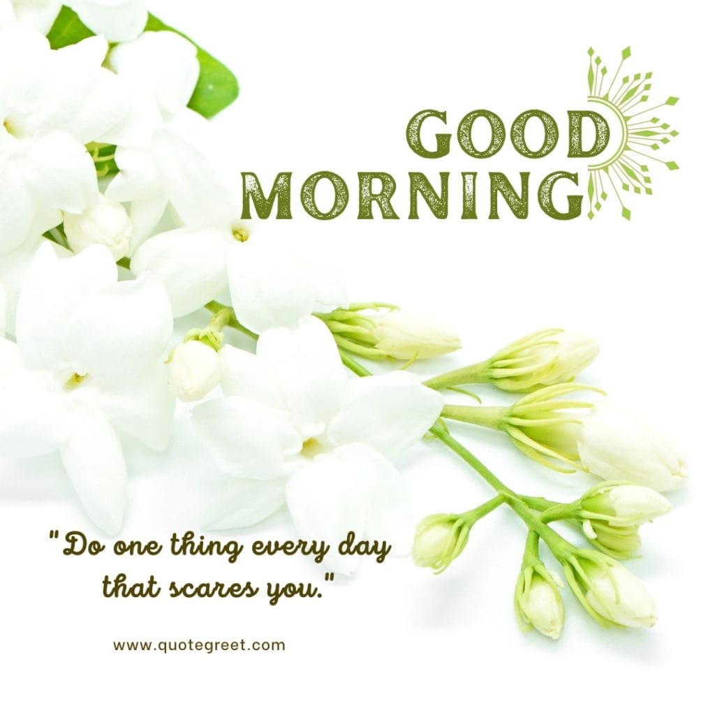 good-morning-quotes-jasmine-flower-images-mogra-flowers-positive-inspirational-motivational-wishes-messages-greetings-quotes-beautiful-cute-white-hd-pic-gud-image-picture-photo